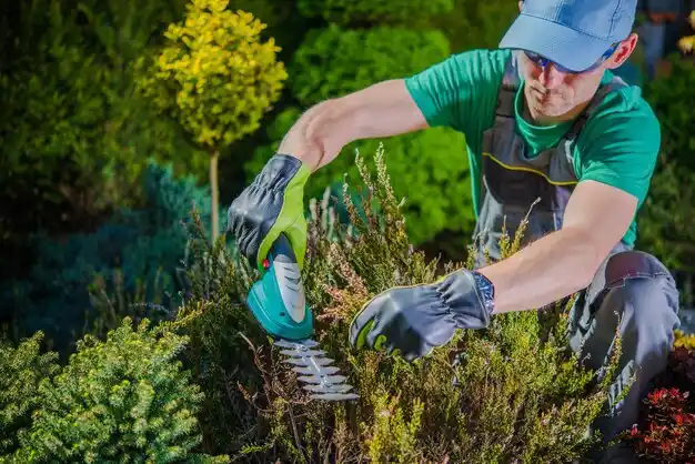 landscaping services Macks Creek